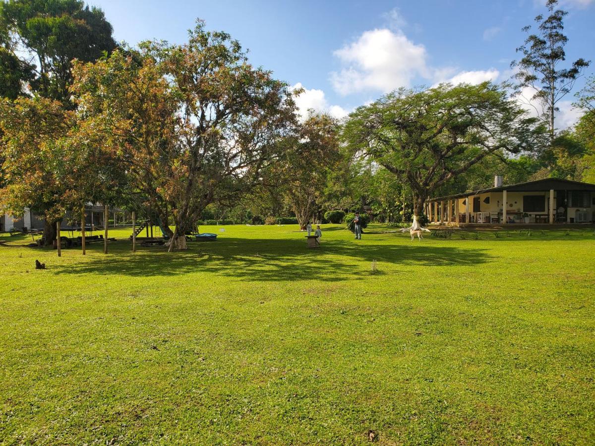 Ecoisa De Chacara - Casa De Vidro, Casa De Campo Morretes Exterior foto