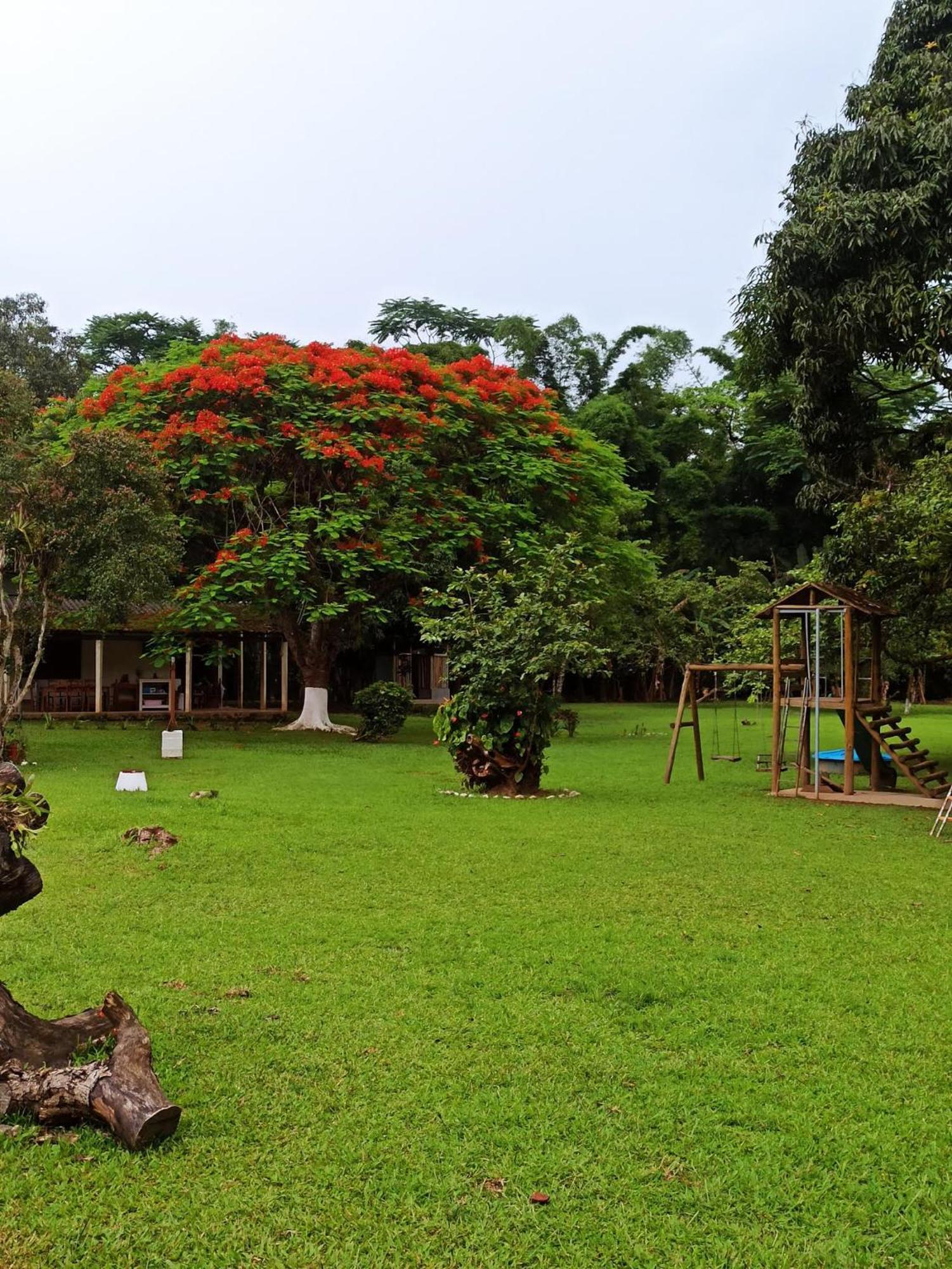 Ecoisa De Chacara - Casa De Vidro, Casa De Campo Morretes Exterior foto